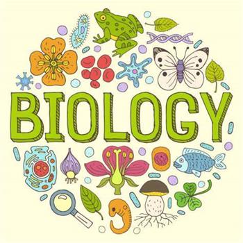 考前復習中，ib生物怎么提高？
